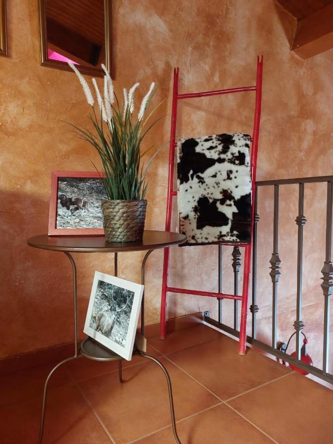 Maison d'hôtes El Atico De Mijares Extérieur photo
